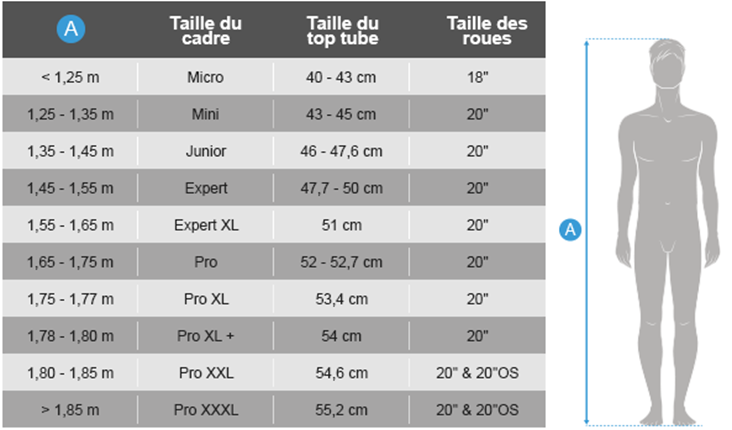 Guide tailles BMX